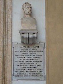 Filippo De Filippi Busto Torino Università.jpg