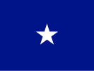 Flag of an Air Force Brigadier general