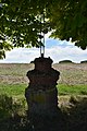 Une croix sous un marronnier au sommet.