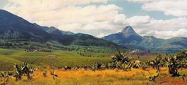 In the background: Mount Murresse; near the center, to the right: "Plantações Manuel Saraiva Junqueiro" - tea factory.