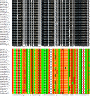 Alignment of 27 avian influenza hemagglutinin protein sequences colored by residue conservation (top) and residue properties (bottom) Hemagglutinin-alignments.png