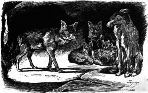 wolves in cave