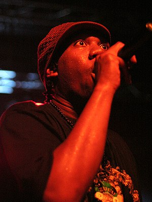 KRS-One represented the political element of n...