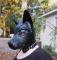 November 2008 – December 2008 This woman is wearing an animal hood as part of human animal roleplay. It is also a bondage hood that has been locked in place and cannot be removed by the wearer.