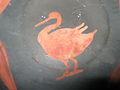 Fait partit d'un groupe de poteries appelés "red swan group" bien que l'oiseau en question ne ressemble pas à un cygne, à cause du bec notamment. peut être une espèce du genre Mergus. Voir ici.