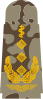 Generalober­stabsarzt (field uniform)