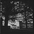 The main street at Arlington Farms is lined with huge shade tree.[13]