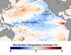 NASA image of the Pacific Ocean in April 2008 showing La Nina and Pacific Decadal Anomalies.