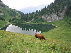 Image illustrative de l’article Lac d'Arvouin