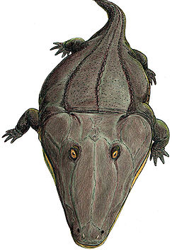 Mastodonsaurus torvus（生態復元想像図）