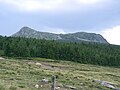 Mont Mézenc (Monts du Vivarais)