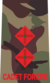 Lieutenant