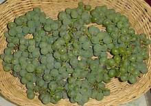 Niagara Grapes.jpg