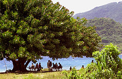 Persone che aspettano sotto l'ombra dell'albero vicino la pista di atterraggio dell'aeroporto di Norsup che è a circa 100 metri dalla riva del mare