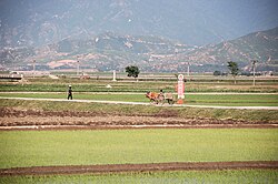 Chŏnsam Cooperative Farm, Anbyŏn