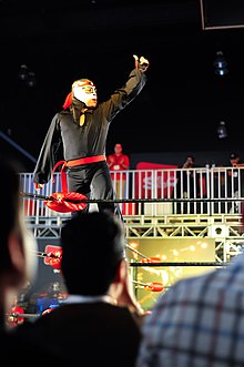 a little person dressed in a black body suit and a black and silver mask, posing on the ring ropes.