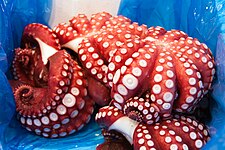 Pulpo en el Mercado Tsukiji