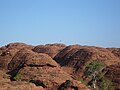 Miniatura para Cordillera Central (Australia)