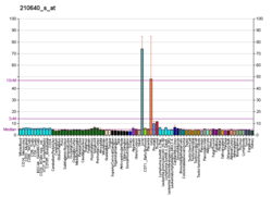 PBB GE GPR30 210640 s at fs.png