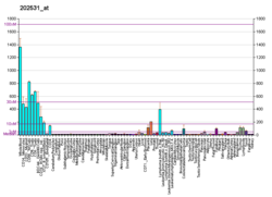 PBB GE IRF1 202531 в формате fs.png