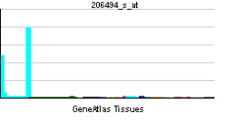 PBB GE ITGA2B 206494 s at tn.png