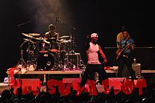 P Square US Canada Tour 2010.jpg