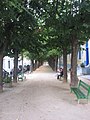 Passeig de Sant Salvador (Santa Coloma de Farners)