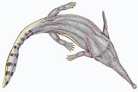 Platyoposaurus