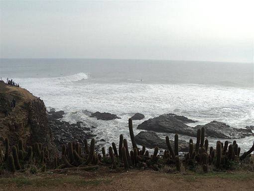 Partial view of the Punta de Lobos beach. Image: Diego Grez.