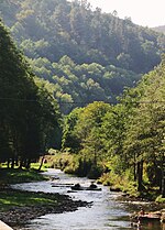 Miniatura para Río Navia