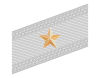 Rank insignia of colonnello con incarichi superiori of the Alpini.svg