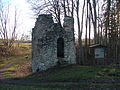 Ruine der Burg Neukalden