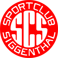 Logo des HSG Siggenthal/Vom Stein