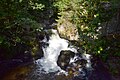 Entre Xonrupt-Longemer et Gérardmer (cascades du Saut des Cuves).