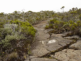 Roche Écrite tontorrerako ibilbidea