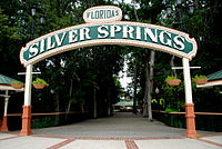 Image illustrative de l’article Silver Springs Nature Theme Park