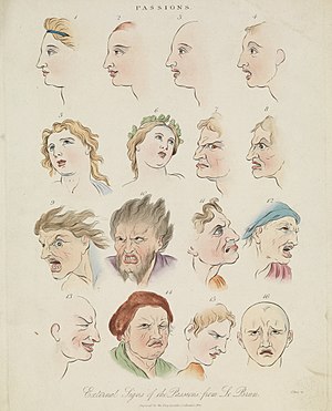 Sixteen faces expressing the human passions - colored engraving by J. Pass, 1821, after Charles Le Brun Sixteen faces expressing the human passions. Wellcome L0068375 (cropped).jpg