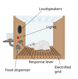 Operant conditioning chamber for reinforcement training Skinner box scheme 01.svg