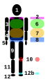 Vorschaubild der Version vom 06:25, 9. Nov. 2013