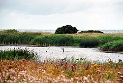 Skyline of Schwartbuck