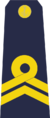 Trung Sĩ-Navy.png