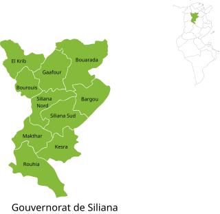 Mapa das delegações da província de Siliana