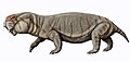 Turfanodon