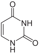 Uracile