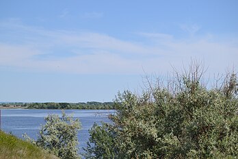 Река Волга. Берег Вязовки.