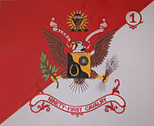 1st Squadron, 91st Cavalry Regiment Guidon.jpg