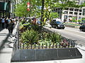 20070513 Magnificent Mile Garden Planter.JPG