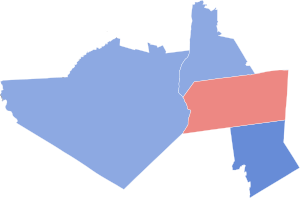 2020 Congressional election in New York's 18th congressional district colored by counties.svg