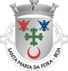 Wappen von Santa Maria da Feira