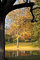 Scorcio del parco in autunno